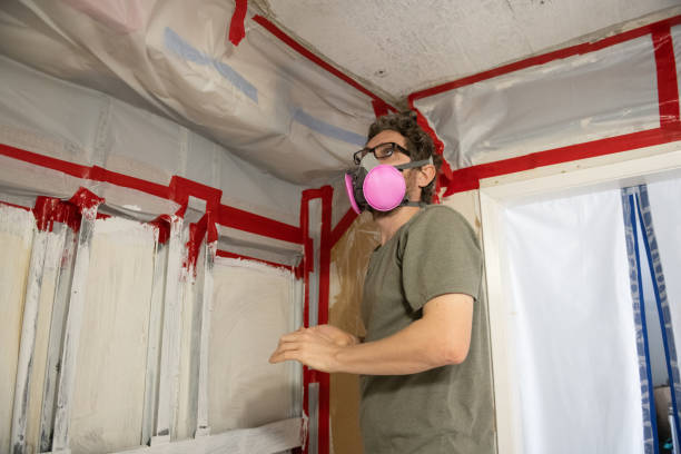 Mold Remediation for Vacation Homes in West Branch, MI